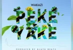 AUDIO Wakazi - Peke Yake MP3 DOWNLOAD