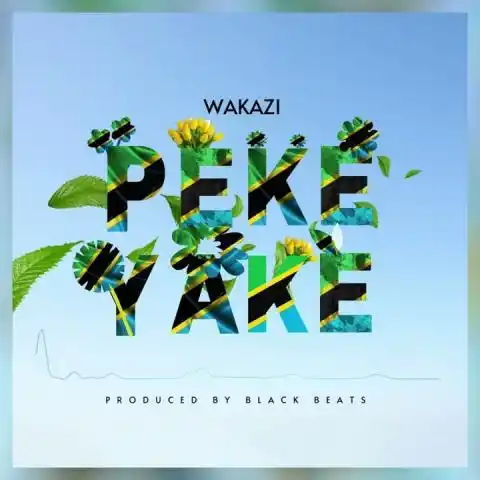 AUDIO Wakazi - Peke Yake MP3 DOWNLOAD