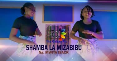 AUDIO Mwita Isack - Shamba La Mizabibu MP3 DOWNLOAD