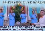 AUDIO Kwaya Ya Mt Fransisco Ksaveri Parokia Ya Chang'ombe Dsm - Amezaliwa Horini MP3 DOWNLOAD