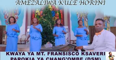 AUDIO Kwaya Ya Mt Fransisco Ksaveri Parokia Ya Chang'ombe Dsm - Amezaliwa Horini MP3 DOWNLOAD