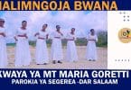 AUDIO Kwaya Ya Mt Maria Goretti Parokia Ya Segerea Dsm - Nalimngoja Bwana MP3 DOWNLOAD