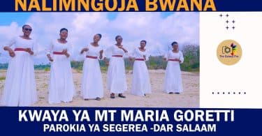 AUDIO Kwaya Ya Mt Maria Goretti Parokia Ya Segerea Dsm - Nalimngoja Bwana MP3 DOWNLOAD