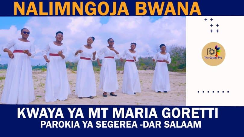 AUDIO Kwaya Ya Mt Maria Goretti Parokia Ya Segerea Dsm - Nalimngoja Bwana MP3 DOWNLOAD