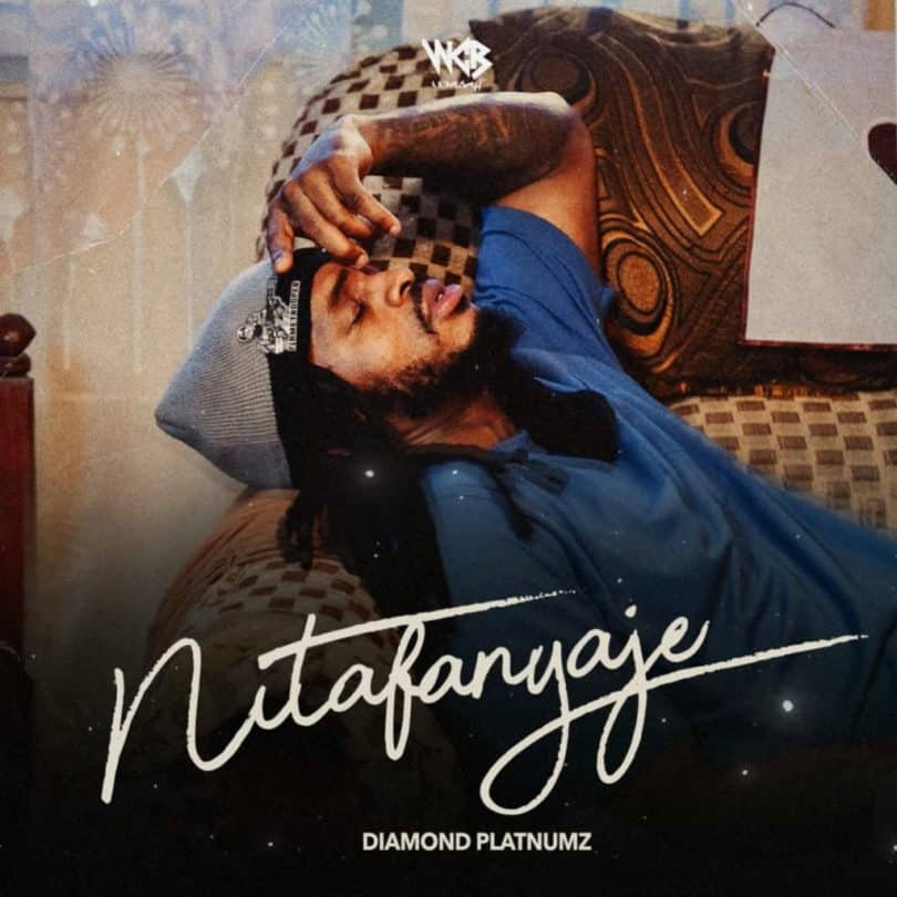 AUDIO Diamond Platnumz - Nitafanyaje (Prod. S2kizzy) MP3 DOWNLOAD