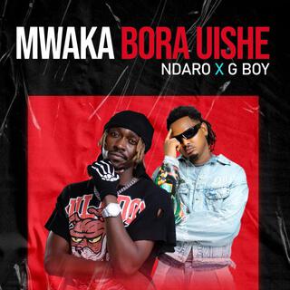 AUDIO Ndaro X G boy - Mwaka Bora Uishe MP3 DOWNLOAD