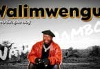 AUDIO Stevo Simple Boy - Walimwengu MP3 DOWNLOAD