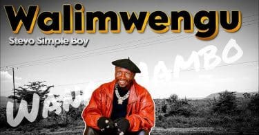 AUDIO Stevo Simple Boy - Walimwengu MP3 DOWNLOAD