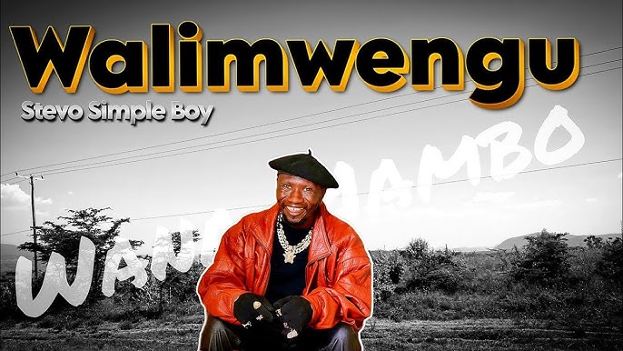 AUDIO Stevo Simple Boy - Walimwengu MP3 DOWNLOAD