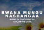 AUDIO Shalom Vine Singers - Bwana Mungu Nashangaa MP3 DOWNLOAD