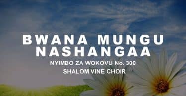 AUDIO Shalom Vine Singers - Bwana Mungu Nashangaa MP3 DOWNLOAD