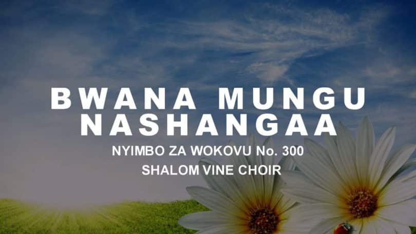 AUDIO Shalom Vine Singers - Bwana Mungu Nashangaa MP3 DOWNLOAD