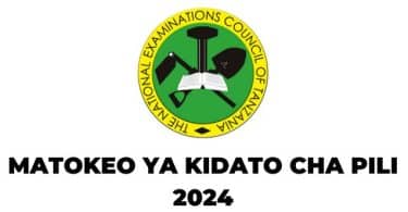 NECTA Form Two Results 2024/2025 - Matokeo Kidato Cha Pili 2024/2025