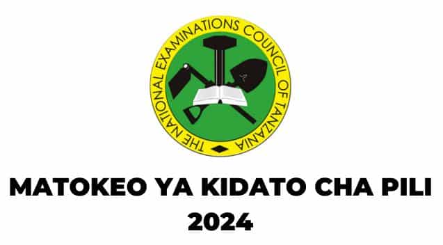 NECTA Form Two Results 2024/2025 - Matokeo Kidato Cha Pili 2024/2025