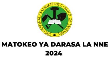 Matokeo ya Darasa la Nne 2024/2025