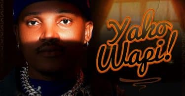 AUDIO Platform – Yako Wapi MP3 DOWNLOAD