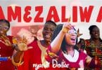 AUDIO Nyaridi Dollar - Amezaliwa MP3 DOWNLOAD