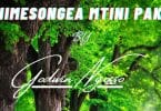 AUDIO Godwin Ngosso - Nimesongea Mtini Pako MP3 DOWNLOAD