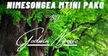 AUDIO Godwin Ngosso - Nimesongea Mtini Pako MP3 DOWNLOAD