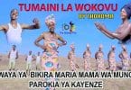 AUDIO Kwaya Ya Bikira Maria Mama Wa Mungu, Parokia Ya Kayenze - Tumaini La Wokovu MP3 DOWNLOAD