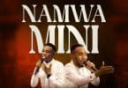 AUDIO Jackson Paul Ft Paul Clement - Namwamini MP3 DOWNLOAD