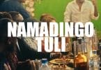 AUDIO Namadingo - Tuli MP3 DOWNLOAD