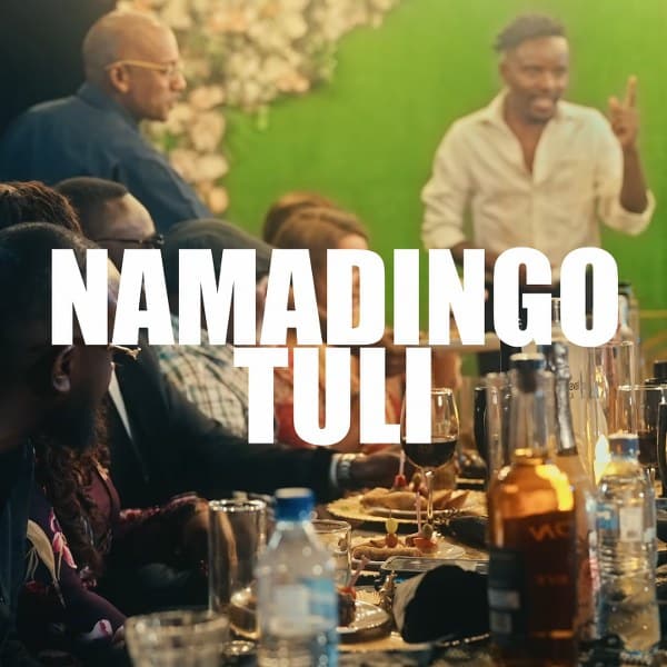 AUDIO Namadingo - Tuli MP3 DOWNLOAD